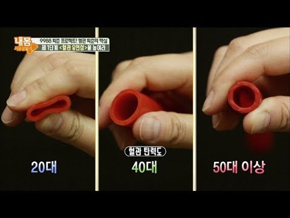 혈관에도 콜라겐이? 혈관 유연성 감소의 원인은?! [내 몸 사용설명서] 197회 20...