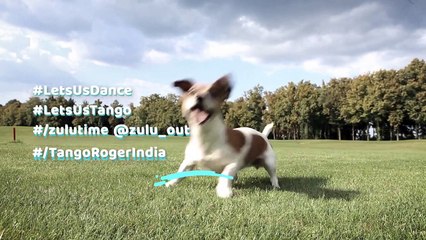 The Strategic Pause is Over IT is Now Zulu Time