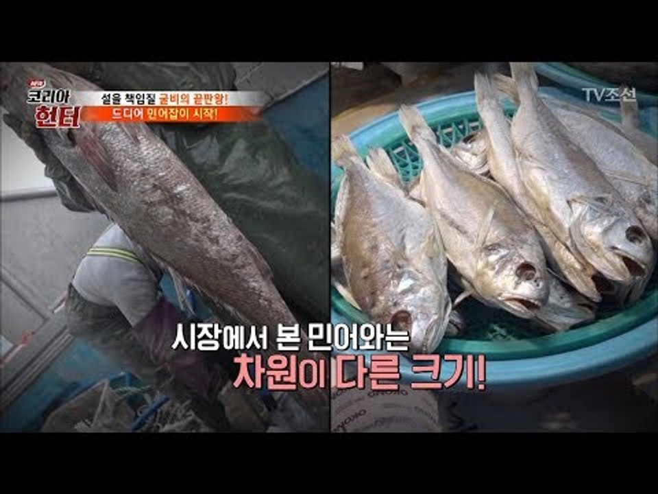 드디어 민어잡이 시작! 1m크기의 민어들! [뉴 코리아 헌터] 89회 20180212