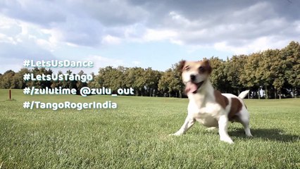 The Strategic Pause is Over IT is Now Zulu Time