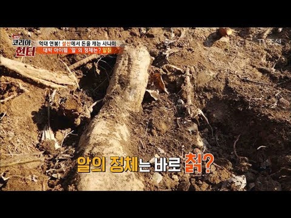 대박 아이템! 땅 속에 ‘알’이 있다?! [뉴 코리아 헌터] 90회 20180219