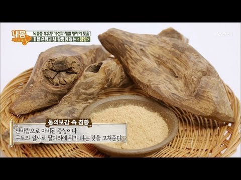 조선왕조실록에 기록된 왕들의 자양강장제 ‘침향’ [내 몸 사용설명서] 193회 20180223