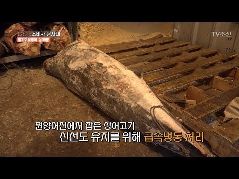 당신이 먹은 참치회덮밥, 사실 ‘죽은 상어’였다! [CSI 소비자 탐사대 13회]20180225
