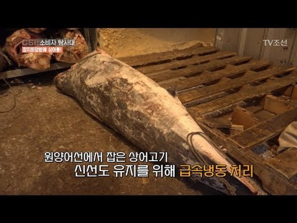 당신이 먹은 참치회덮밥, 사실 ‘죽은 상어’였다! [CSI 소비자 탐사대 13회]20...