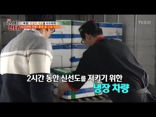 통영에서 대전까지 2시간동안 ‘통영의 신선함’을 담아서! [뉴 코리아 헌터] 91회 20180226
