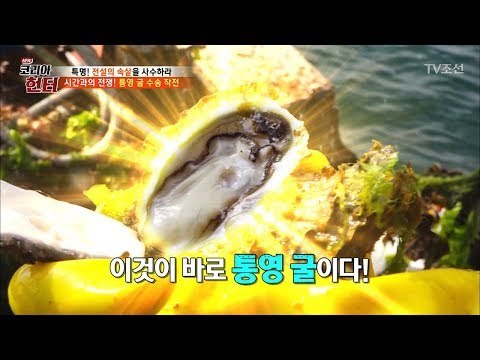 지금이 절정! 맛과 영양 품은 ‘통영 굴’ [뉴 코리아 헌터] 91회 20180226