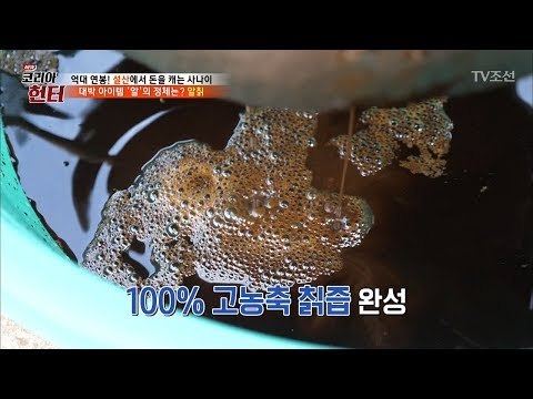 엄동설한에 직접 손으로 칡즙을! 그 맛은? [뉴 코리아 헌터] 90회 20180219