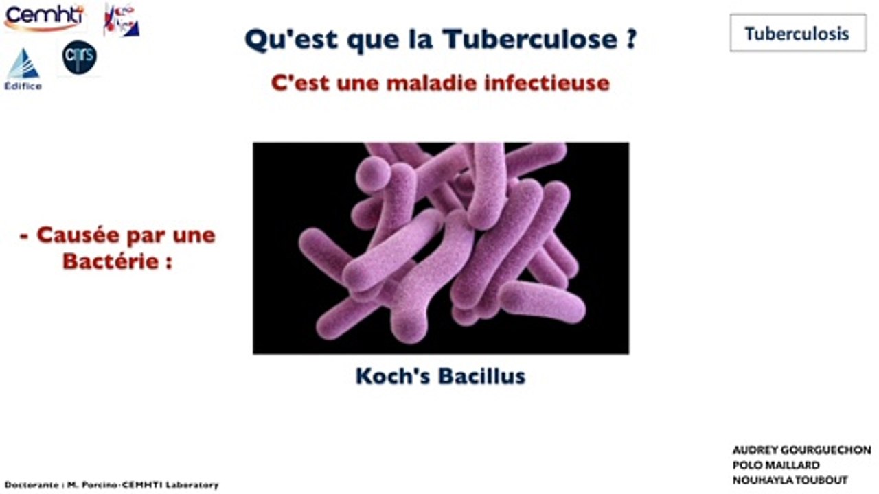 Interaction principe actif du médicament avec l'excipient-CEMHTI-EDIFICE-Année de la chimie 2018-2019-Lycée Pothier-Orlé