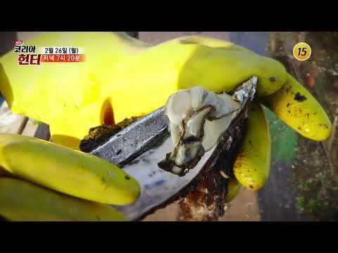 속살을 사수하라!_코리아헌터 91회 예고