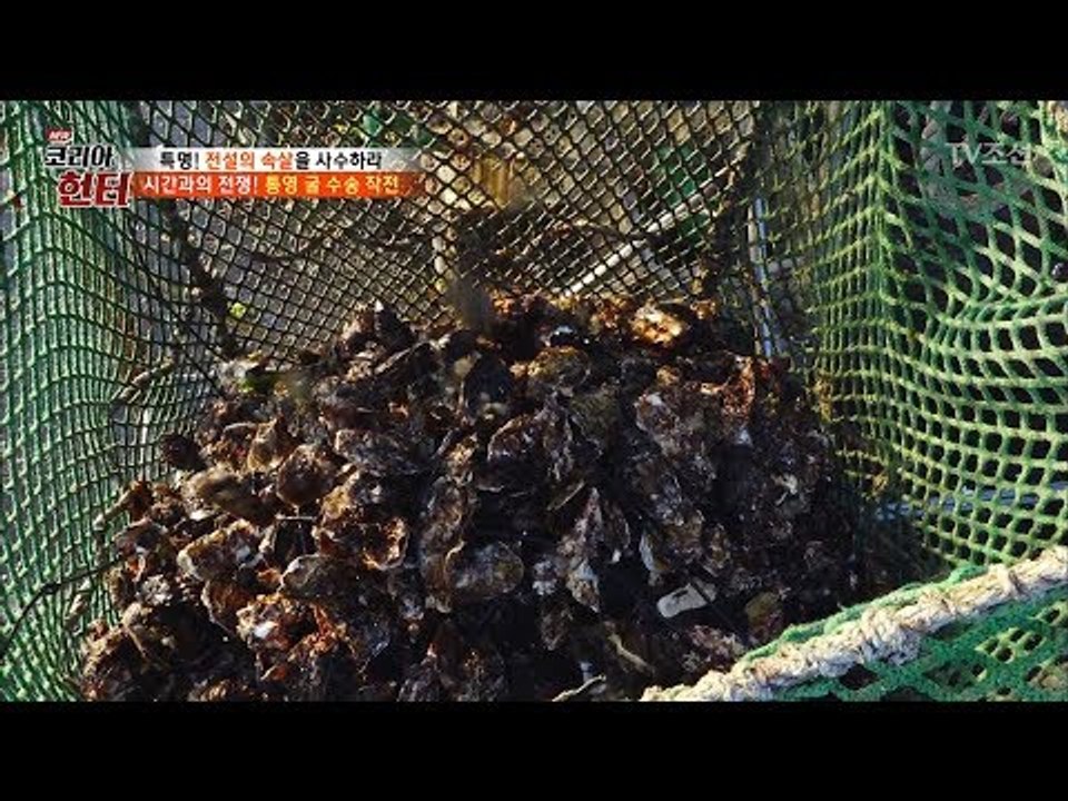 시간과의 싸움! 신선한 굴을 수송하라 [뉴 코리아 헌터] 91회 20180226