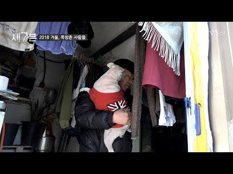 애완견과 함께 지내며 적적함을 달래는 남자! [탐사보도 세븐 28회] 20180228