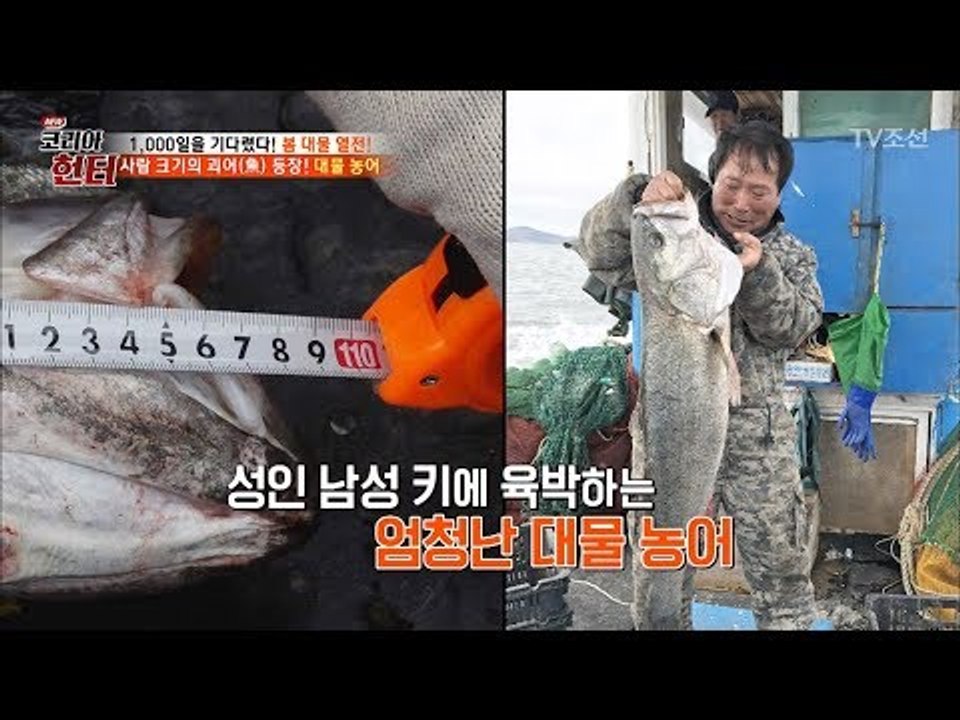 [놀람주의] 대물 농어! 성인 남성 키와 비슷하다! [뉴 코리아 헌터] 96회 201...