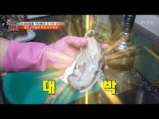 남도 스타일! 벚굴 요리 방법! [뉴 코리아 헌터] 96회 20180402