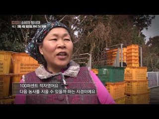 위험천만! 우도 도로를 장악한 삼륜 자동차_CSI 소비자탐사대 14회 예고