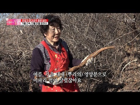 한겨울에도 일을 쉴 수 없는 종분 엄마! [엄마의 봄날] 129회 20180225