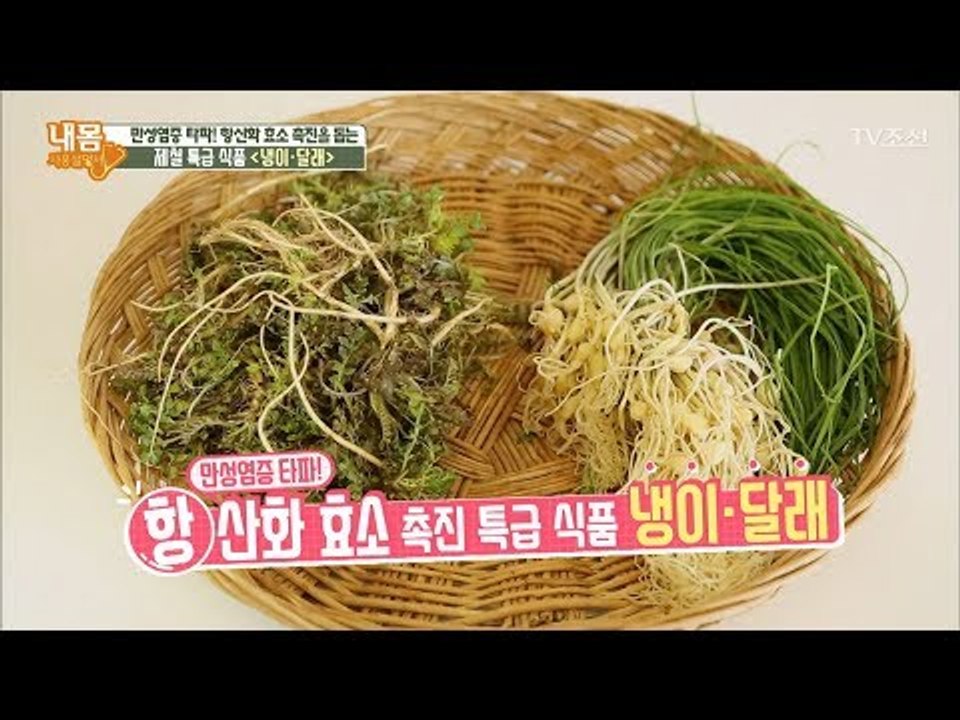 암 달래줄 냉이와 달래먹고 암 타파하자! [내 몸 사용설명서] 196회 20180316