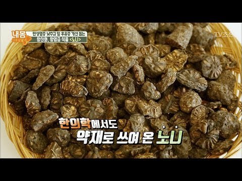 놀지말고 꾸준히 노니 챙겨먹어 암 치료하자~ [내 몸 사용설명서] 196회 20180316