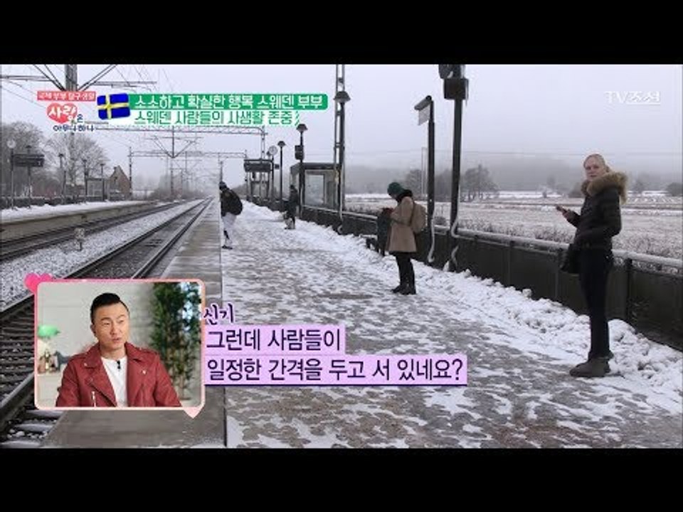 극심하고 완벽하게 사생활 존중하는 스웨덴 사람들 [사랑은 아무나 하나] 31회 201...