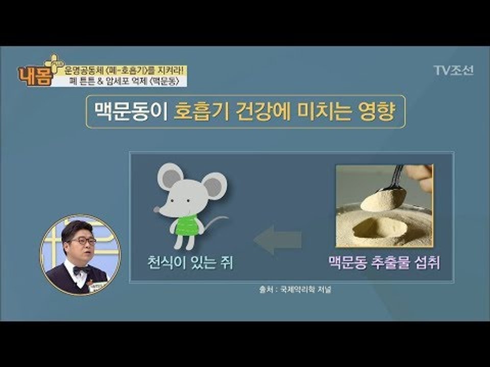 폐는 튼튼, 암세포는 억제시켜주는 ‘맥문동’ [내 몸 플러스] 97회 20180415