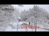 선생님이 말하는 산속이란!? [탐사보도 세븐 32회] 20180328