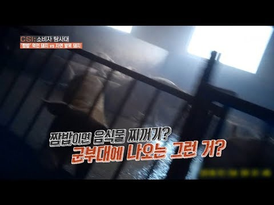 ‘음식물찌꺼기’먹는 돼지가 우리 식탁에... [CSI 소비자 탐사대 21회] 2018...