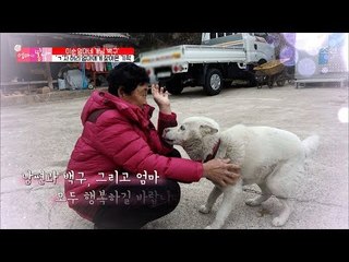 남편과 백구까지, 함께 행복할 일만 남은 엄마! [엄마의 봄날] 133회 20180401