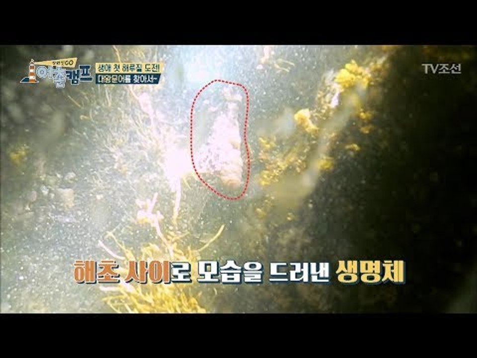 해초 사이로 보이는 생명체... 드디어 문어 발견?! [장화신GO 어촌캠프] 1회 20180504