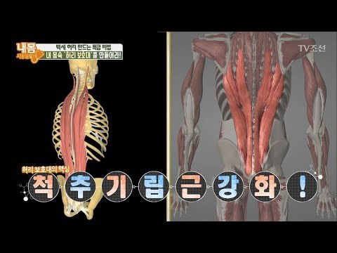 통증 잡고! 백세 허리 만드는 특.급.비.법! [내 몸 사용설명서] 203회 20180505