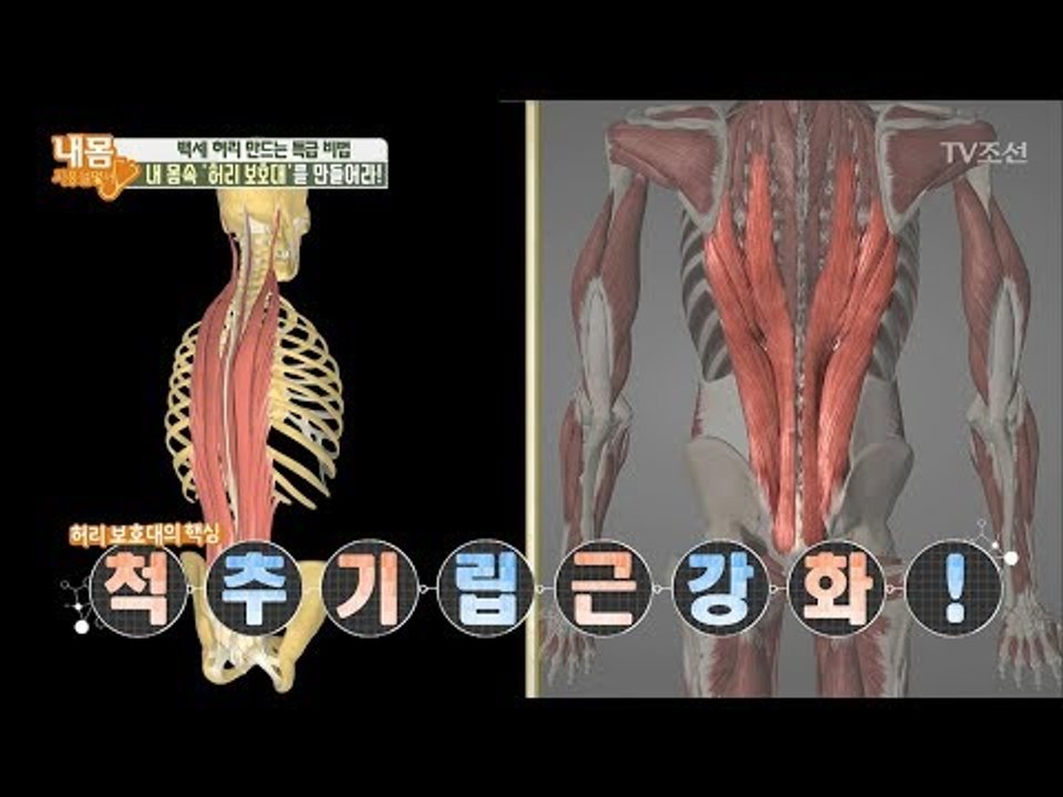 통증 잡고! 백세 허리 만드는 특.급.비.법! [내 몸 사용설명서] 203회 2018...