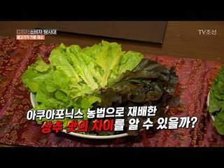 아쿠아포닉스 재배 상추 VS 일반 농장 상추의 맛의 차이는? [CSI 소비자 탐사대 19회] 20180408