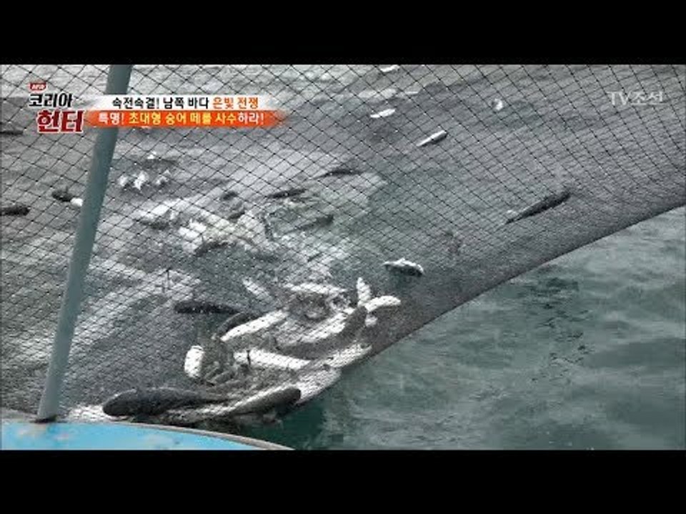 초대형 숭어 떼가 나타나자 모든 배를 총동원하는데 [뉴 코리아 헌터] 98회 2018...