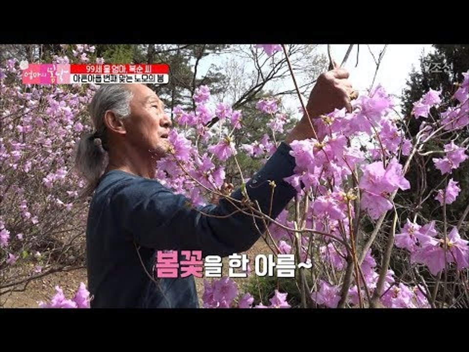 아내보다 장모를 더 좋아하는 아들 같은 사위?! [엄마의 봄날] 136회 20180422