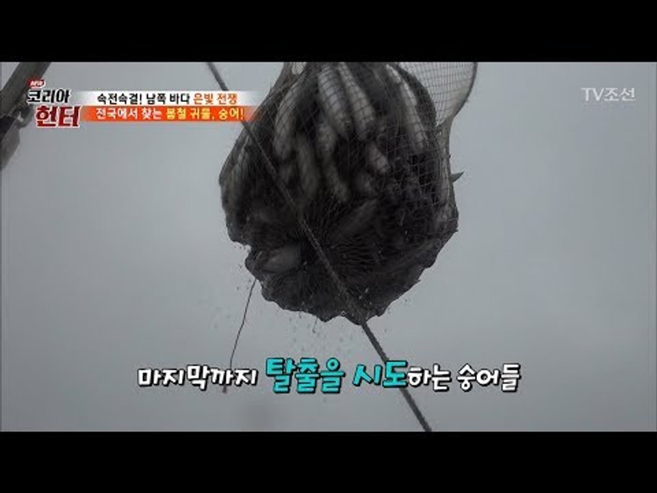 마지막까지 탈출을 시도하는 숭어들의 슬픈 모습 [뉴 코리아 헌터] 98회 20180416