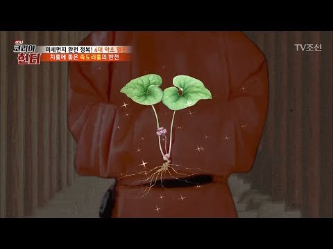 조선 성종도 사용한 약초! 가늘고 매운 ‘세신’ [뉴 코리아 헌터] 99회 20180423