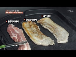 열악한 돼지VS방목 돼지...놀라운 맛의 차이! [CSI 소비자 탐사대 21회] 20180422