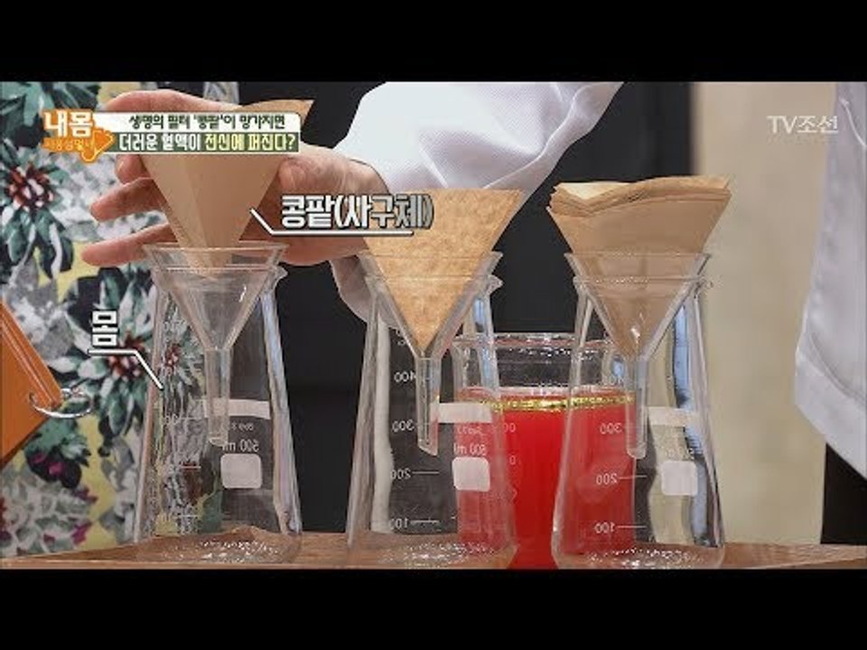 실험으로 알아보는 콩팥의 기능! [내 몸 사용설명서] 201회 20180420