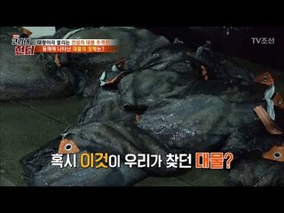 거친 동해! 상상 초월 대물의 등장?! [뉴 코리아 헌터] 100회 20180430