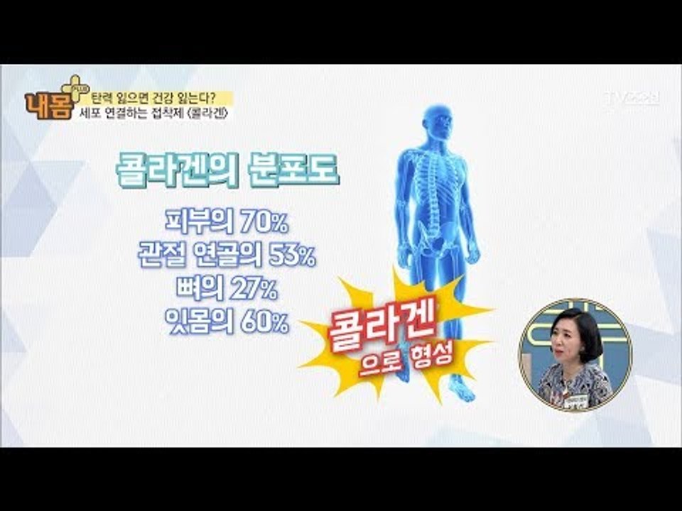 [새로운 발견!] 귀부터 폐까지 분포한 콜라겐! [내 몸 플러스] 100회 20180506