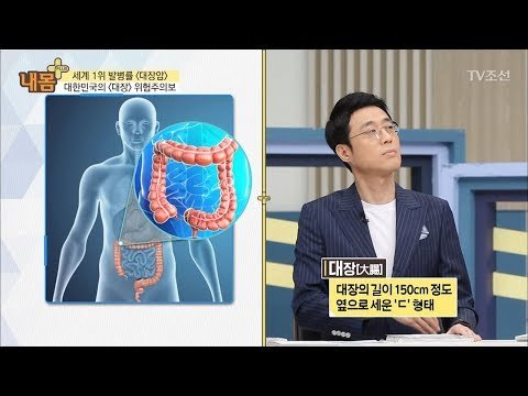 길이가 약 150cm? 우리 몸에서 그 장기의 정체는?! [내 몸 플러스] 104회 20180603