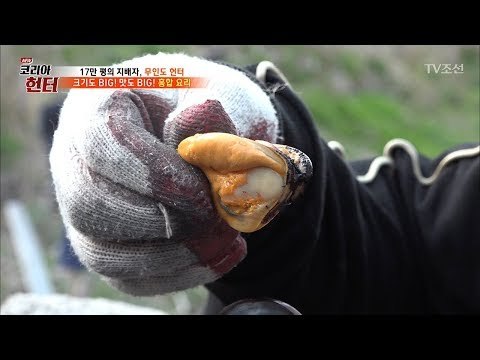 크기도 BIG! 맛도 BIG! 역대급 최강 홍합 맛은 [뉴 코리아 헌터] 101회 20180507