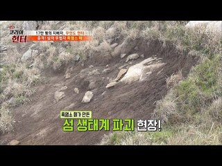 산을 민둥산으로 만들어버리는 악질 ‘흑염소’ [뉴 코리아 헌터] 101회 20180507