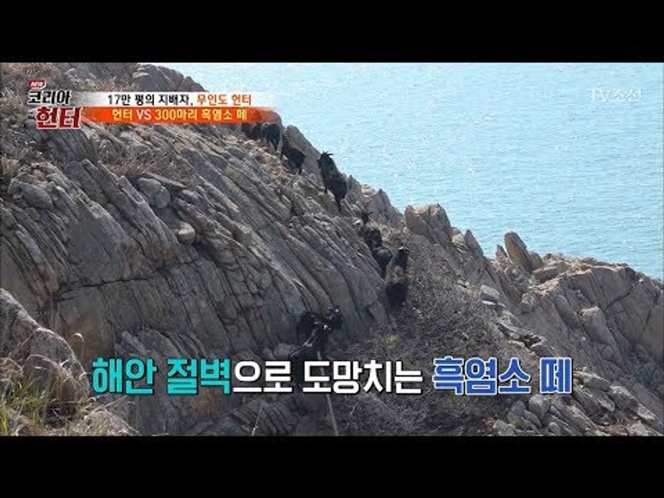 흑염소 300마리를 이긴 무인도 남자...그는 이 섬의 지배자... [뉴 코리아 헌터...