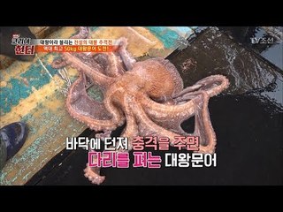 대왕문어 ‘이것’ 있으면 10% 저렴하게?! [뉴 코리아 헌터] 100회 20180430