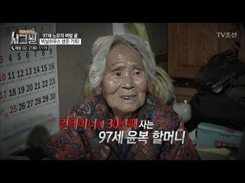 어둠뿐인 농경지! 비닐하우스에 사람이 산다? [시그널] 24회 20180511