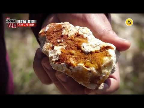 17만 평의 지배자 무인도 헌터!_코리아헌터 101회 예고