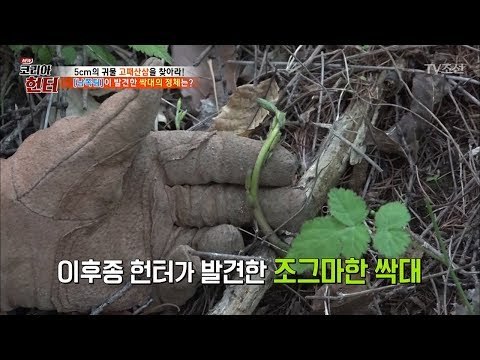 헌터가 발견한 조그마한 싹대의 정체는?! [뉴 코리아 헌터] 102회 20180514