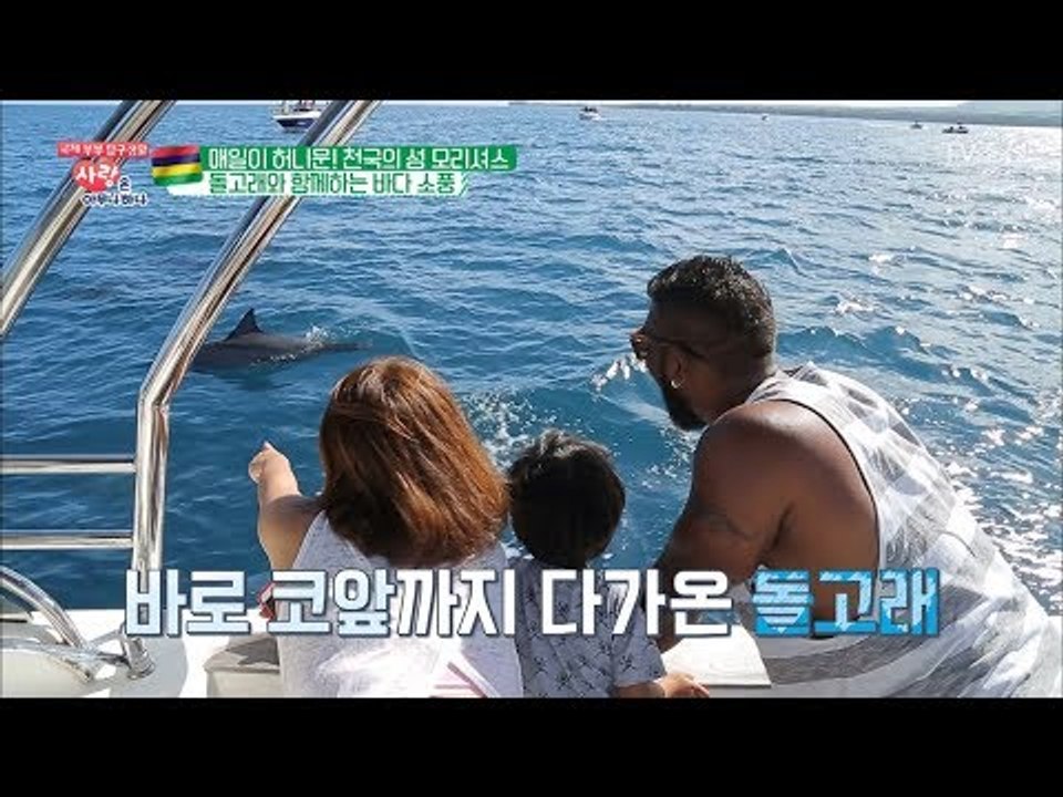 보트 타고 돌고래를?! 바다 소풍을 즐기는 곳 ‘모리셔스’ [사랑은 아무나 하나] 3...