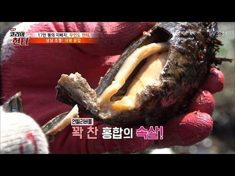 역대급 크기의 홍합을 잡았다! 꽉 찬 홍합의 속살이...(군침) [뉴 코리아 헌터] 101회 20180507