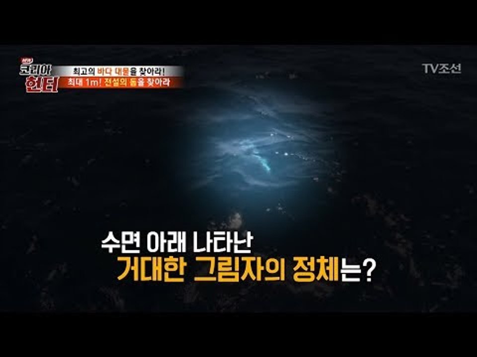 남해의 새로운 기대주! 최대 1m 전설의 돔을 찾아라! [뉴 코리아 헌터] 103회...