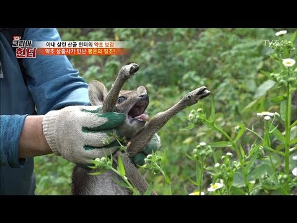 긴급상황! 모두를 놀라게 한 울음소리의 정체는? [뉴 코리아 헌터] 108회 2018...